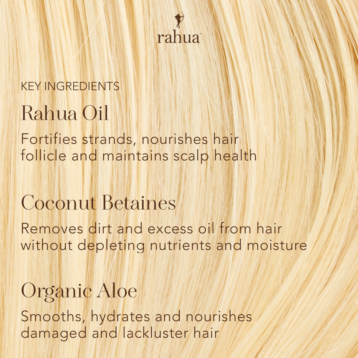 Rahua Classic Shampoo and classic conditioner infographic infographic