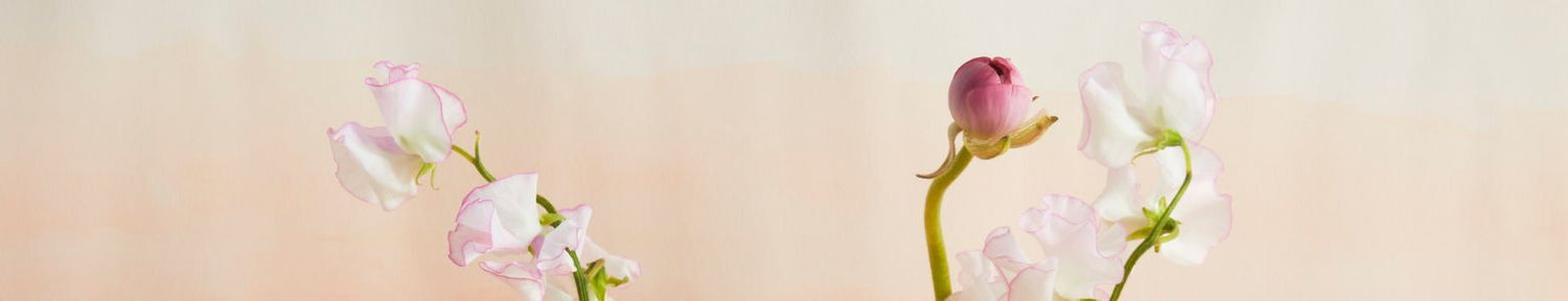 Self-Care Collection