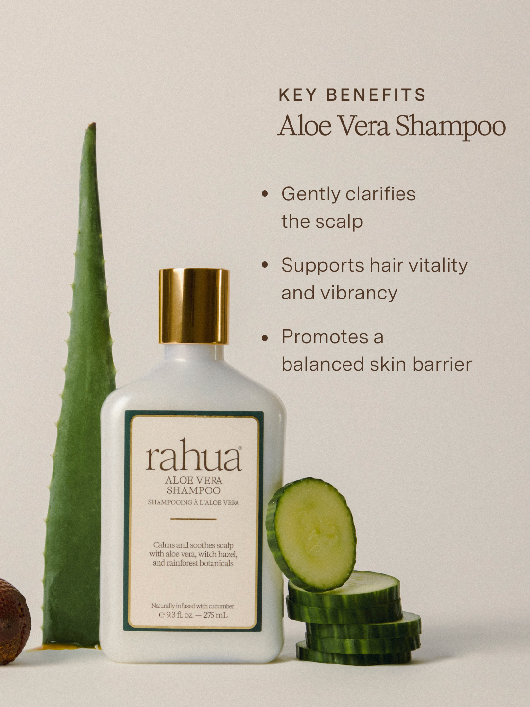 Aloe Vera Essential Hair Care Set