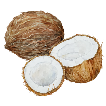 Coconut Oil