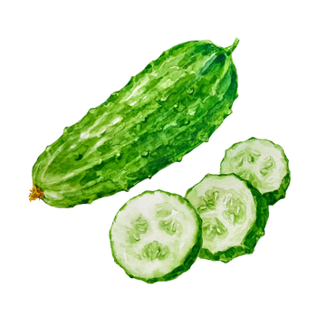 Cucumber