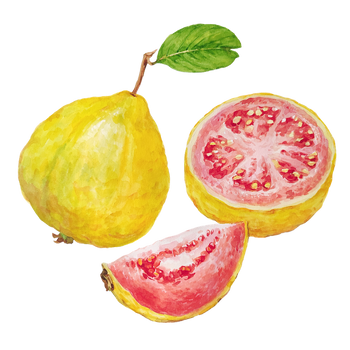 Guava