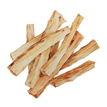 Palo Santo Oil