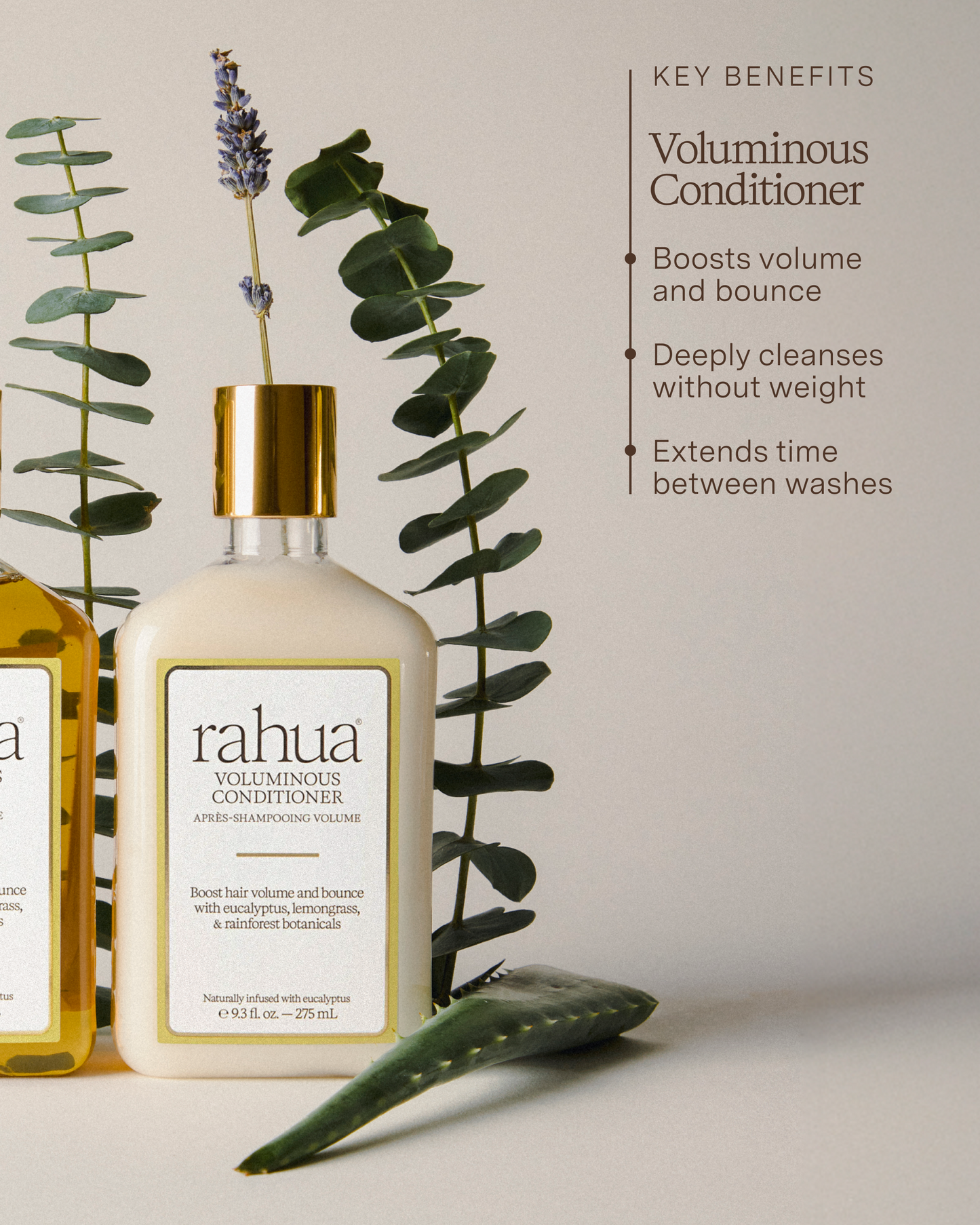 Rahua voluminous conditioner bottle with eucalyptus leaves on a light background|variant:93-oz,18-oz
